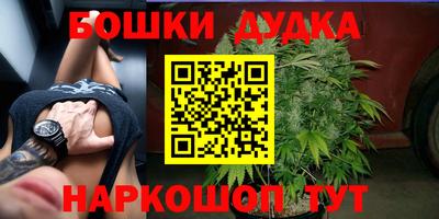 стафф Будённовск