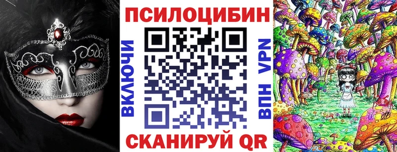 Галлюциногенные грибы Psilocybe  Северодвинск 