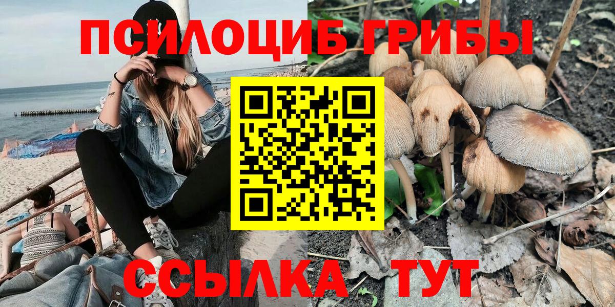 Галлюциногенные грибы Psilocybe Северодвинск